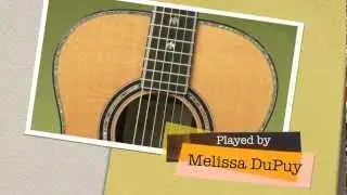 James Taylor Signature Model Olson Guitar at guitargal.com