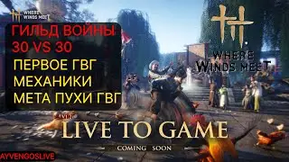 Where Winds Meet - 30 VS 30 ГВГ | ВСЕ О ГИЛЬДЕЙНЫХ ВОЙНАХ