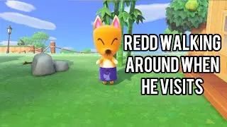 How to Get Redd to Walk Around your Animal Crossing Island every time he visits? Do this&hellip;.. #shorts