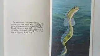 Feather Fin A Serendipity Book (1983)