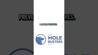 How to Effectively Manage Mole Infestations in Your Yard