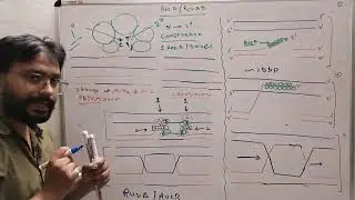 RecA and RuvAB mediated homologous recombination