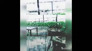 🌟 Weather Demand 🌧💞