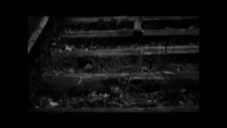 Bajka & Bonobo - Walk in the sky