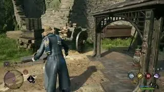 Hogwarts Legacy   Investigate the Goblin Presence Quest Objective