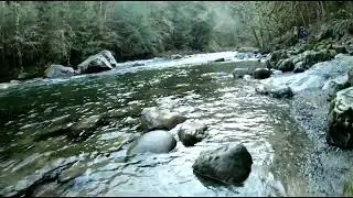 Basics of Mindfulness  |  Mindful Ecotherapy Center
