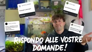La ROUTINE con i miei ANIMALI + Q&A (SPECIALE  500 ISCRITTI)