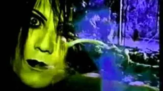 Neil - Disease Pv
