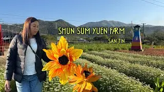 SHUN SUM YUEN FARM || SAN TIN FARM || YUEN LONG