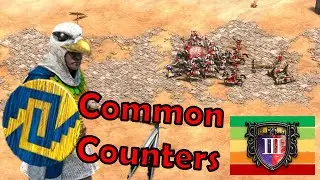 EAGLE WARRIOR | Best COMMON Counters | Castle Age | Age of Empires 2