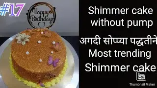 Shimmer Cake / without shimmer pump , 100% Veg ,🎂🎂🎂