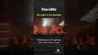 Latvia case feed back