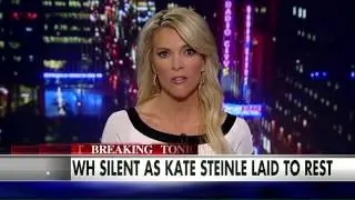 Kate Steinle On Air Videos