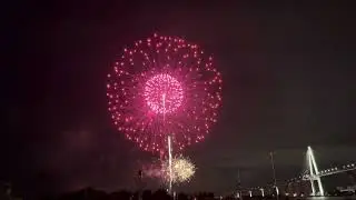#2024fireworks #japanfireworks #fireworks