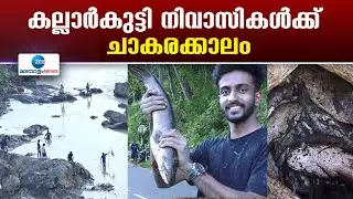 Kallarkutty | കല്ലാര്‍കുട്ടി അണക്കെട്ട് വറ്റിച്ചതോടെ പ്രദേശത്ത്  മീന്‍പിടുത്തം തകൃതിയായി നടക്കുകയാണ്