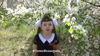 Мальчишкам Волгограда