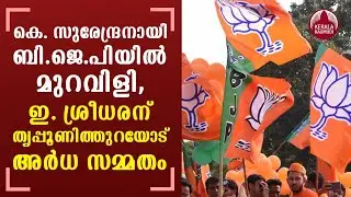 Elections 2021 | BJP begins selection process for candidates in Kerala Assembly election