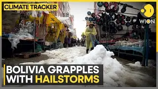 Bolivia Grapples With Hailstorms As Climate Change Worsens Rain Season | WION Climate Tracker