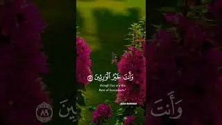 Quran best voice collection 💝✨ #youtubeshorts #youtube  #quran #shorts#unfrezzmyaccount
