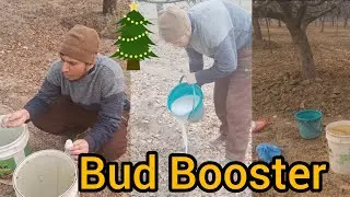 Bud Builder Kasay Use Karay