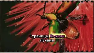Зять наконец попал куда нужно — и тёща осталась до