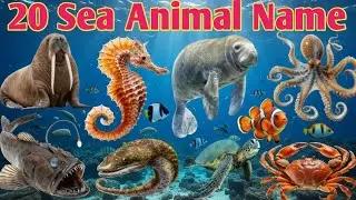 बच्चों के लिए Sea Animals || 20 Ocean Animal Names with Picture & Sound Learning Video..