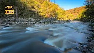 Summer sunset on the Macquarie River | 4K HDR 60fps Binaural audio, no loop