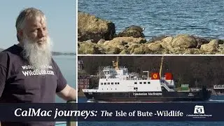 CalMac Friends - Wildlife on Bute