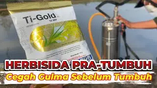 Herbisida Pra Tumbuh Mencegah Gulma Sebelum Tumbuh