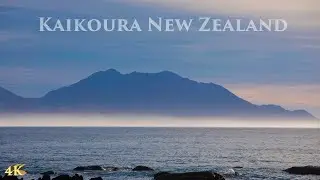 Driving Kaikoura South Island New Zealand | Town Centre | Coastal drive | New Zealand Tour 4K 2021