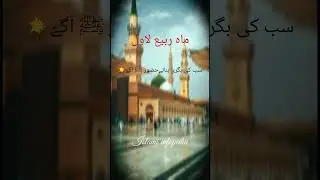 Rabi ul awal special status || best lines 🌠❤|| islami infopedia