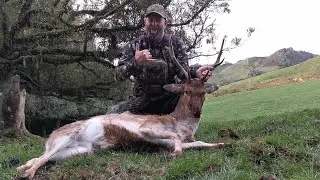 Spring time fellow hunt