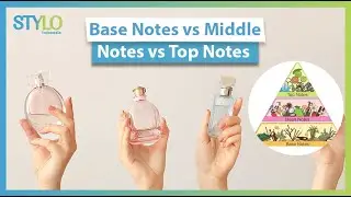 Rekomendasi Parfum untuk Pemula: Perbedaan Wangi Base Notes, Middle Notes & Top Notes | STYLO