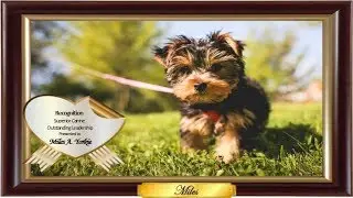 Performance Appraisals fur Dogs - Playing to Our Strengths