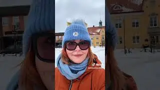 Den sittande SD-styrda regeringen lovade ta tag i elpriserna - men det fungerar inte..