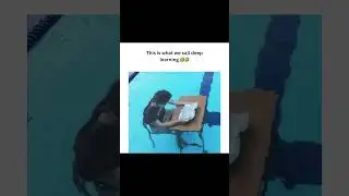 Deep Learning in software engineering 🤣🤣 #shorts