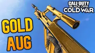 Gold AUG! Class Setup, Best Attachments, etc. (Black Ops Cold War)
