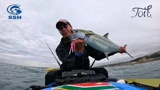 Best STRIP BAIT Trace // Tackle Talk & Tips