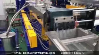 PET flake recycling Parallel twin screw granulating extruder