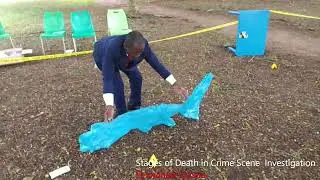Stages of Death in Forensic Investigation