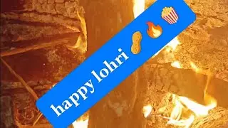 Lohri Celebration 🪔 | Gud Biscuit, Makhane & Ganne Ki Kheer #shortvideo #viral #youtubeshorts #dance