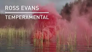 Ross Evans - Temperamental