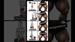 Leg Day Destroyer