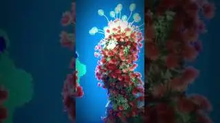 Banging NFTs/ Make money/ Invest/ New trend/ Flowers bodies/ Viral Nft/ Nfts/ 2023/ Nft Show