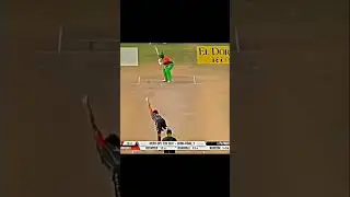 3 PAKISTANI KING !! SHAHEEN x NASEEM x AMIR #pakistanicricket #bolling #amirbowling #shaheenbowling