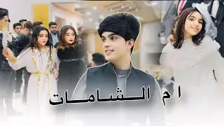 العين الجتالة وام الشامات - الفنان احمد جاسم العازف نوفل السبعاوي - زفاف عادي الجبوري