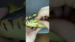A hunter was eaten by a shark! #shorts #treasureX #sunkengold  #unboxing #tiktok #asmr #satisfying
