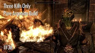 Hero of Skyrim &ndash; Skyrim (SE) [Three Kills Only, Pure Argonian Build], ep. 36