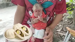 Baby monkey Bob when eating dumplings for the first time