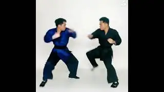 Fighting with AI
